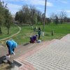 Зеленая весна