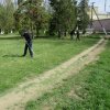Зеленая весна