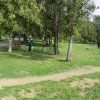 Зеленая весна