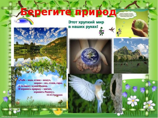 pam nasel 20220901 3