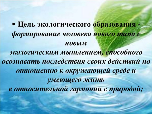 pam nasel 20220901 6
